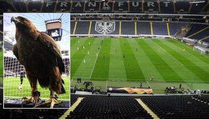  法兰克福主场击败拜仁终结对手十二连胜纪录  